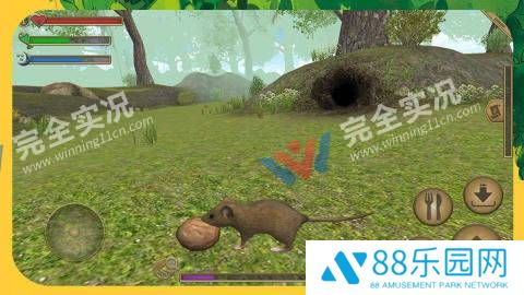 老鼠生存模拟手机版