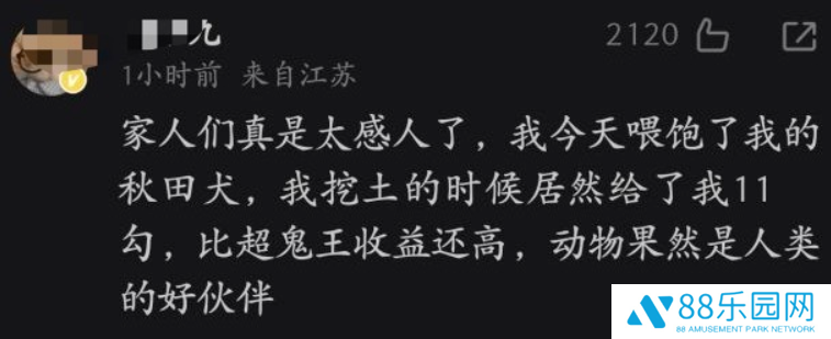 图片24.png