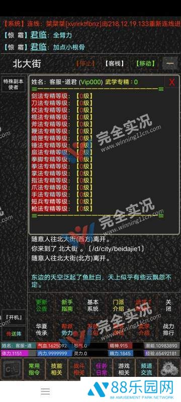 侠影