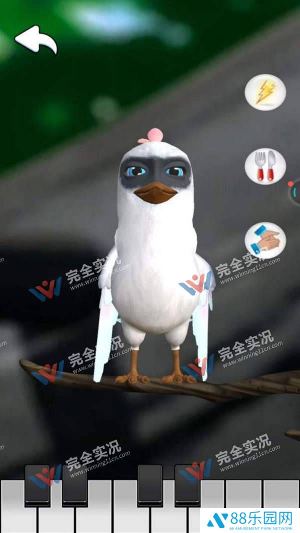 会说话的鸟