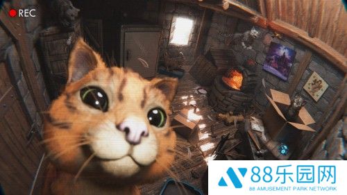 《方舟生存飞升》可爱新生物“猫”上线，性格各异，猫党狂喜