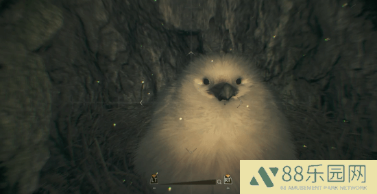 《怪物猎人：荒野》大更！泡狐龙登场，巨型柔毛秧鸡等你掏？