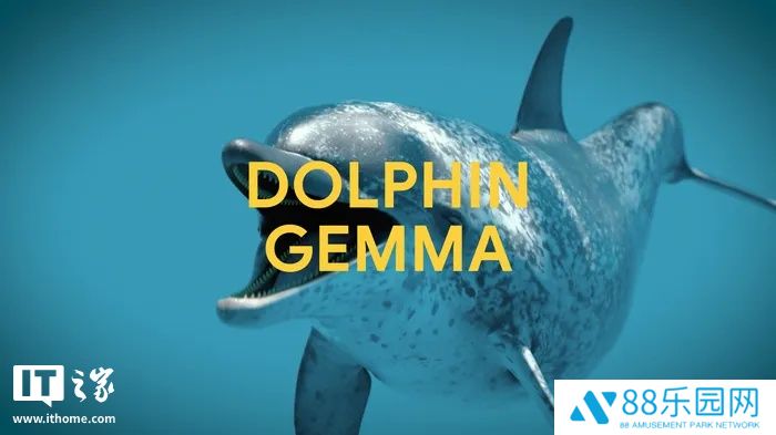 谷歌 DeepMind 开发 DolphinGemma AI 模型，助力海豚“语言”研究