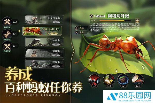 小小蚁国