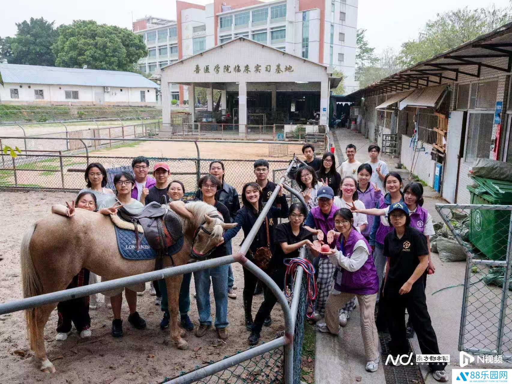 华农马文化节：与“神兽”近距离，科普真马生活新体验