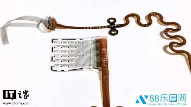 瑞士团队开发出新型柔性听觉脑干植入装置，为重度听力损失患者带来曙光