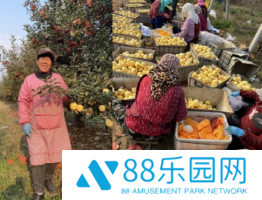 《荒野迷城》助农行动，玩游戏做公益，千箱爱心“平安果”免费领