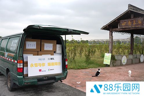《永恒之塔》携手玩家登陆“上海猫岛”参与公益项目关爱社区流浪猫